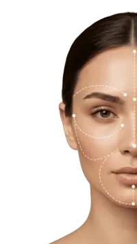 Face areas diagram